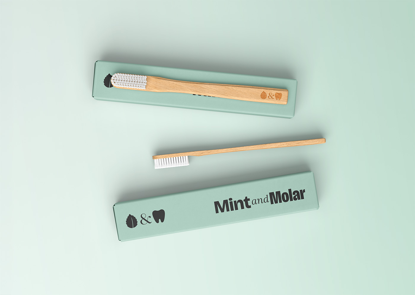 Mint & Molar toothbrush mockup