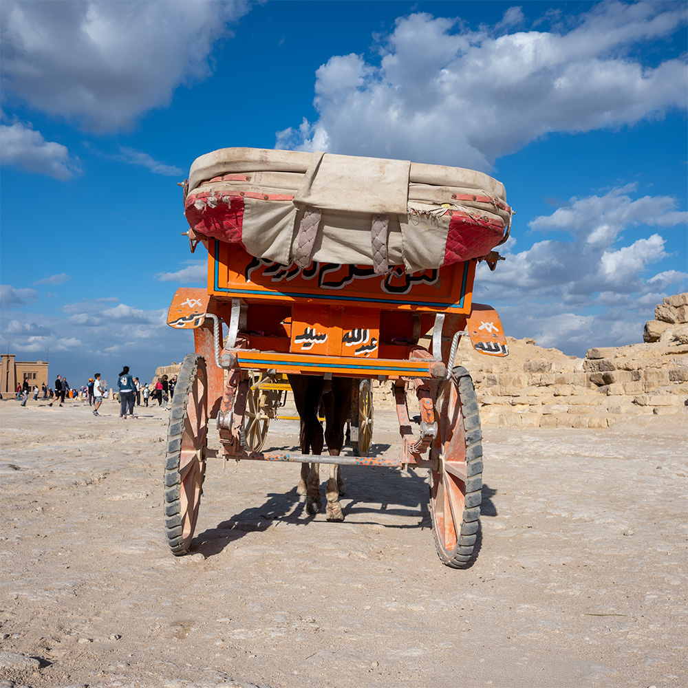 Back of a horse carriage at the pyramids