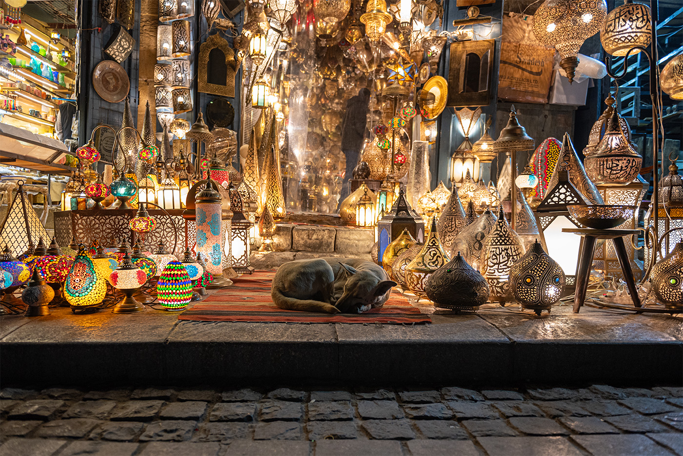 A dog sleeping in front of a lamp shop shot in the evening