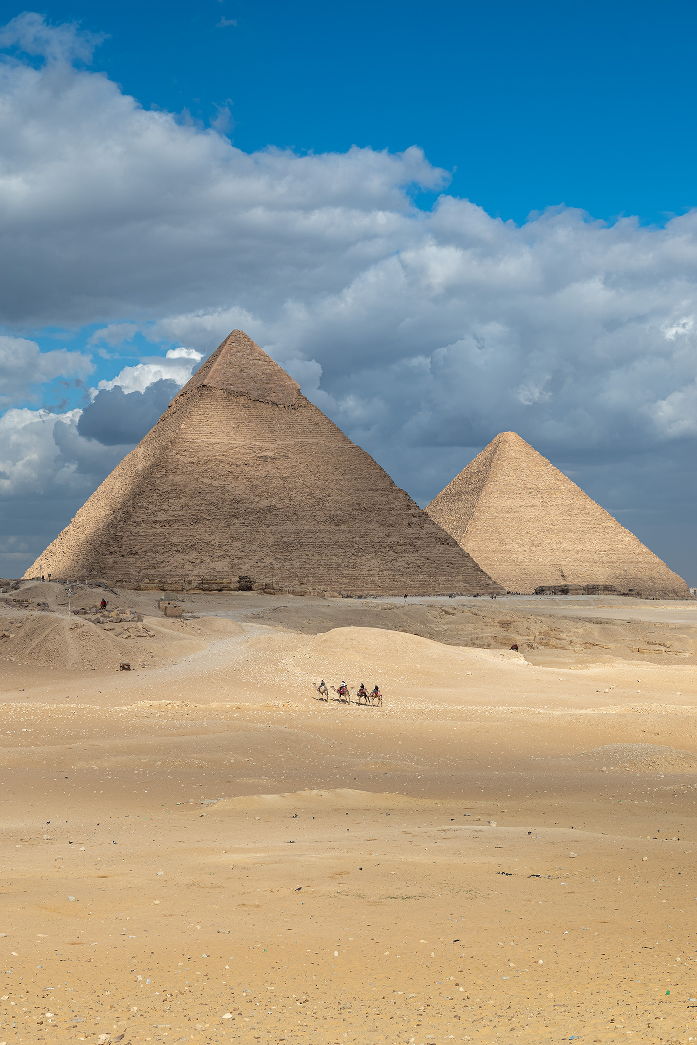 Caravan of camels in front of the Pyramids of Giza