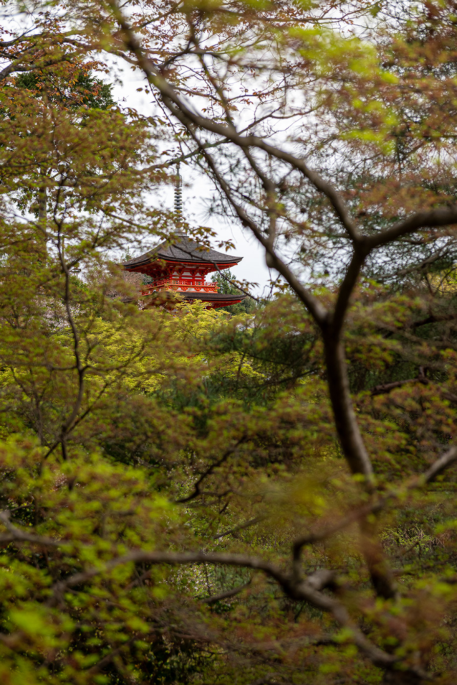 Shrine through the trees