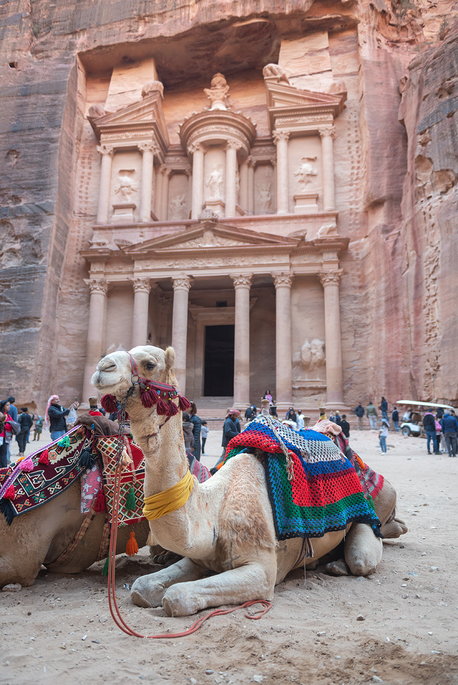 Camels sitting in the foreground of the Treasury building at Petra