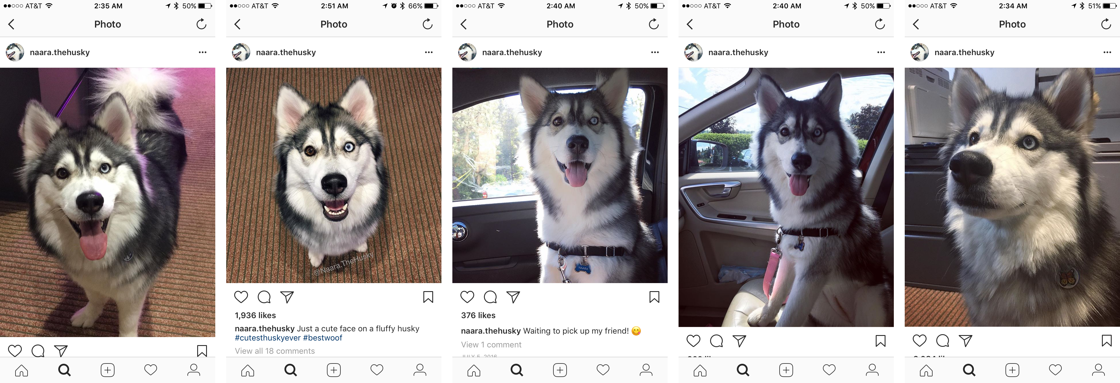 Naara Referance Images